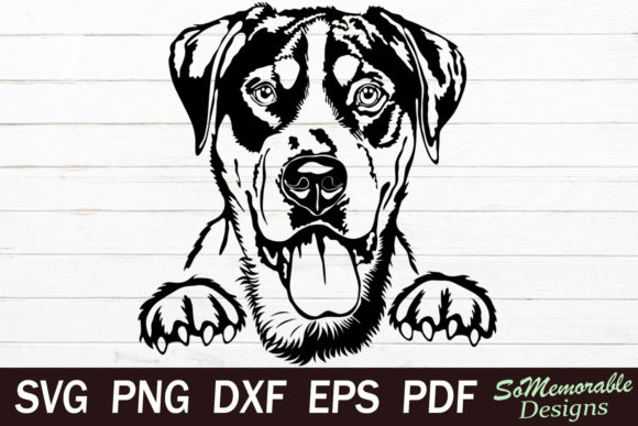 Swiss Mountain Dog Embroidery Design Review